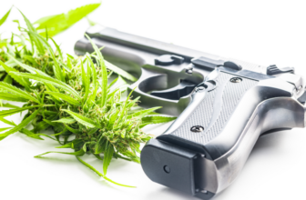 United States v. Hemani: SCOTUS Backs Gun Rights