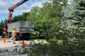 Preparing Trees For Storms In Ohio