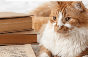 7 Books for People Who Prefer Animals to Humans