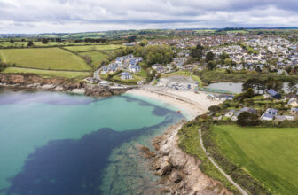 UK’s Largest-Ever Seagrass Restoration Project Begins in Cornwall