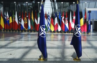 Opinion – The Stakes at Ankara’s NATO Summit – E-International Relations