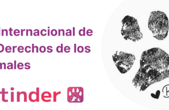 Día Internacional de los Derechos de los Animales ⚖️