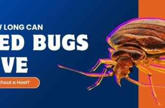 How Long Can Bed Bugs Live Without a Host?