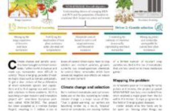 Plant-parasitic nematodes: WUR launches major project