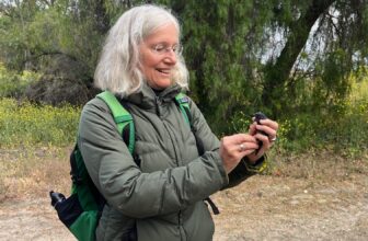 CalCAN Stewardship Council Profile: Jo Ann Baumgartner | CalCAN