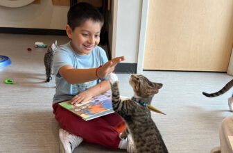 Turning Pages, Changing Lives