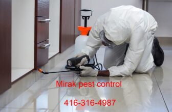 Safe and Affordable Pest Control Service in Oakville, Burlington, and Mississauga, Ontario – Pest Control Service