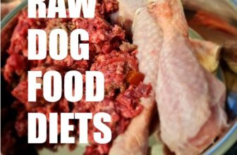 Best Raw Dog Food (Australia)