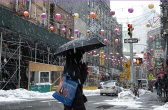 Ryan Muchen Wang: The Quiet Geography of Belonging