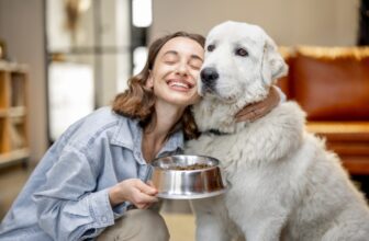 Top 5 Dog Food Brands for Optimal Canine Nutrition