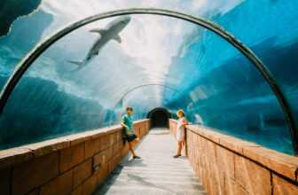 Atlantis Bahamas Review: Gorgeous But Overrated? Here’s the Truth.