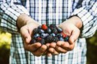 12 Delicious Foods That Help You Fight Sugar Cravings • Wellness Captain