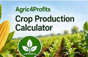 Crop Production Calculator for Barley Farming in Senegal