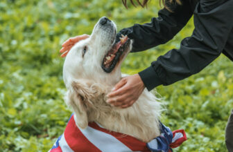 How to Teach Your Dog to Be a Good Canine Citizen: Community Engagement