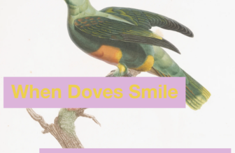 When Doves Smile – Disquiet
