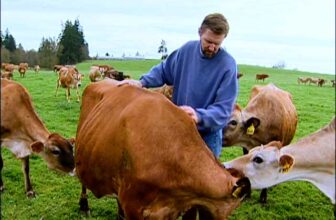 A Family Tradition (video) – Cooking Up a Story