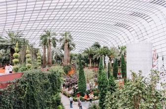 Best Photo Spots at Gardens by the Bay, Singapore