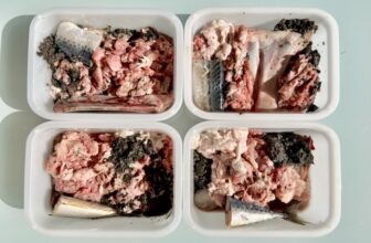 How Do You Feed Raw Dog Food?