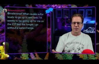 Sulfur Denitrator Part 2 (latest update)