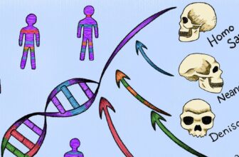 Two Ghosts in the Genome