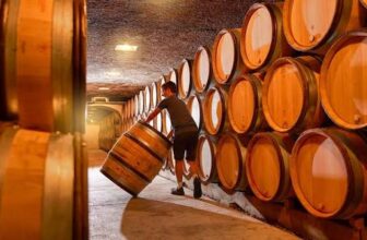 How the MICHELIN Guide Is Redefining Excellence in Wine Tourism