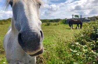 West Coast Ireland; Galway to Killarney 🍀 – bitches be travelling