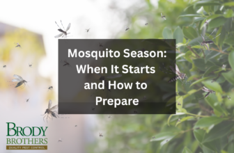 When It Starts and How to Prepare