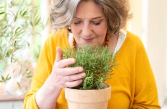 Essential Checks to Ensure Your Home is Ready for the Best Years Ahead – thisisyourbestyear