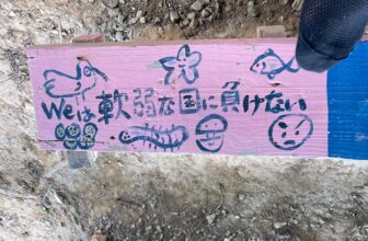 Formations of Ecological Empathy in Defiance of U.S. Militarism – Engagement