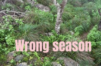 Wrong season – Living the Life God Intended
