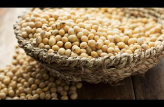 EU launches plan to produce more plant-based proteins