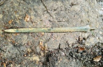A Man Unearthed a Mysterious Metal Object Sticking Straight Up From the Ground. It Turned Out to Be a 2,700-Year-Old Sword