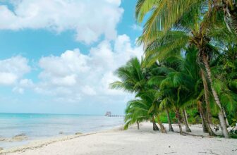 Top Private Villas in Cozumel for Families and Group Getaways