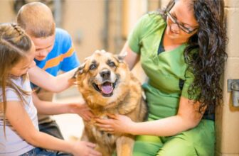 Meaningful Ways to Involve Your Children in Supporting Animal Rescue Efforts