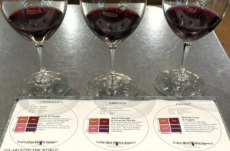 Wine on the Go | Talk-A-Vino
