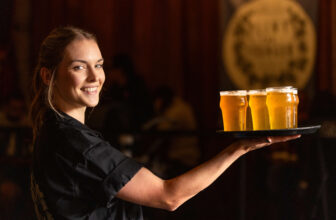 Everything You Need to Know About Pliny The Younger