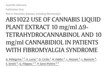My mother says Fibromyalgia is bearable with CBD and supplements… and so do these doctors: