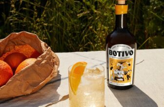 Botivo joins the Mangrove portfolio