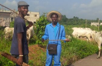 10 Profitable Agribusinesses in Nigeria
