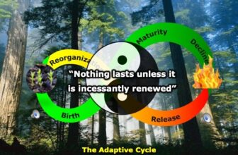 Engineer or Gardener? David Hurst on AI, the Ecocycle and the Rigidity Trap