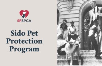 The SF SPCA Sido Pet Protection Program