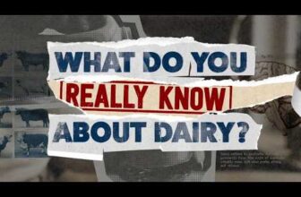 What Do You Really Know About Dairy? | Official Trailer