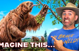 Should Science Bring Back These 5 Extinct Animals?