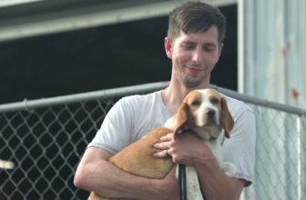Operation Arkansas Angels – the rescue of 34 dogs from an overcrowded rescue