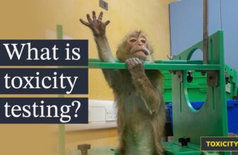 You were never meant to see this: Inside toxicity testing labs