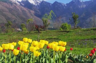 14 Wondeful Places to visit in April in India