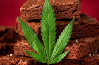 Cannabis ER – Gotham Gal