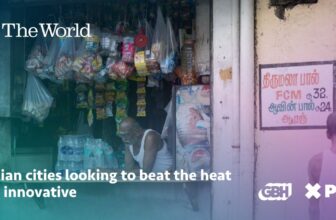 Indian cities looking to beat the heat get innovative