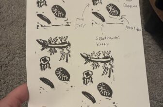 Monterey Bay Aquarium — hi monterey bay aquarium! i carve stamps and am…
