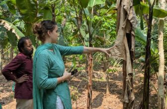 SAFN announces 2026 Thomas Marchione Food-as-a-Human-Right winner – FoodAnthropology